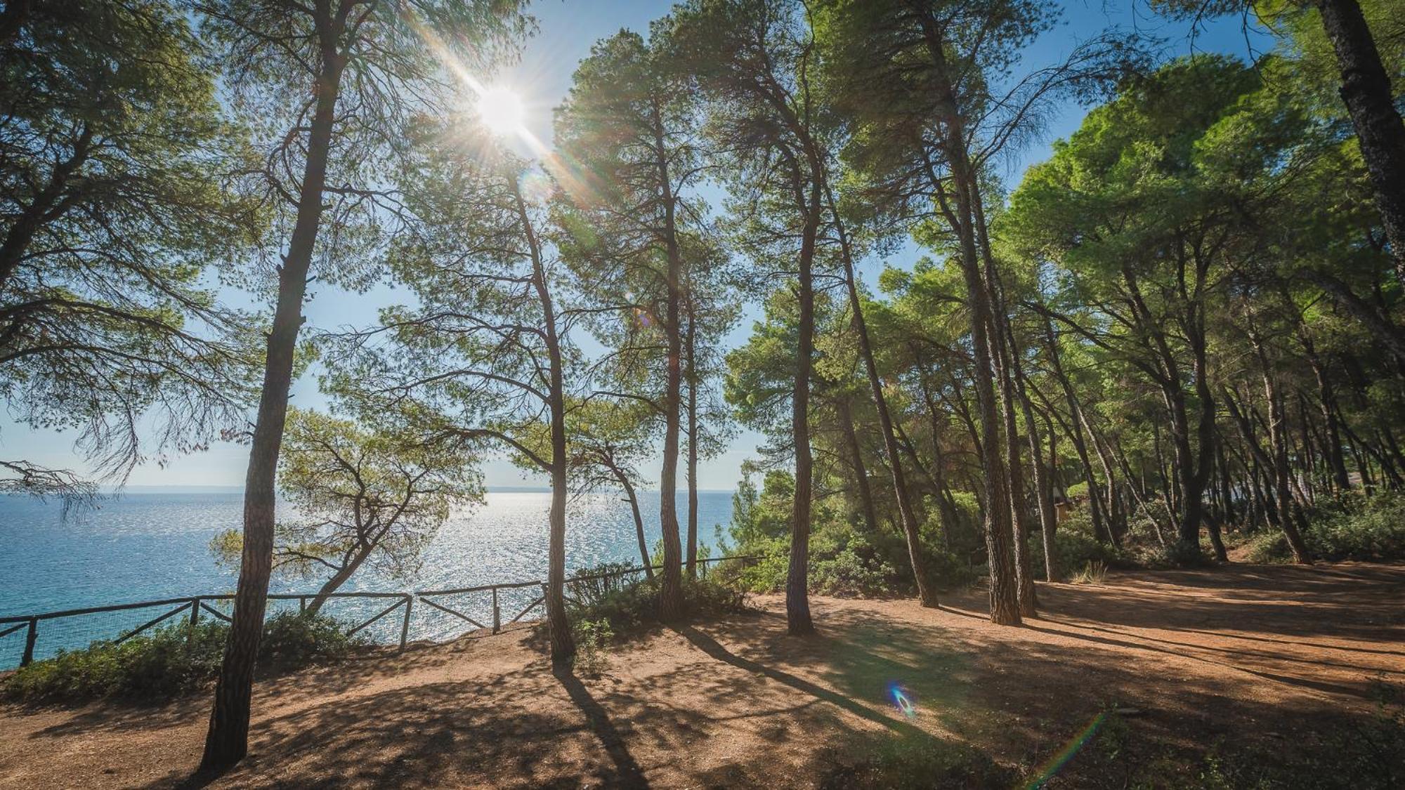 Squirrel Beach Front Villa, Metamorfosi Eksteriør billede