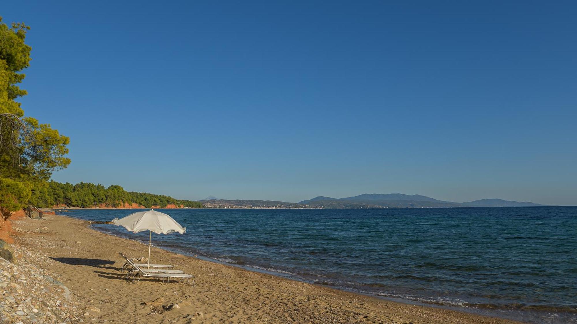 Squirrel Beach Front Villa, Metamorfosi Eksteriør billede